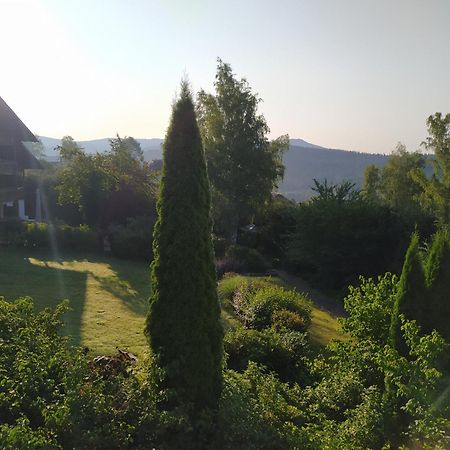 Appartamento Apratman Julie - Bavorska Ruda Bayerisch Eisenstein Esterno foto