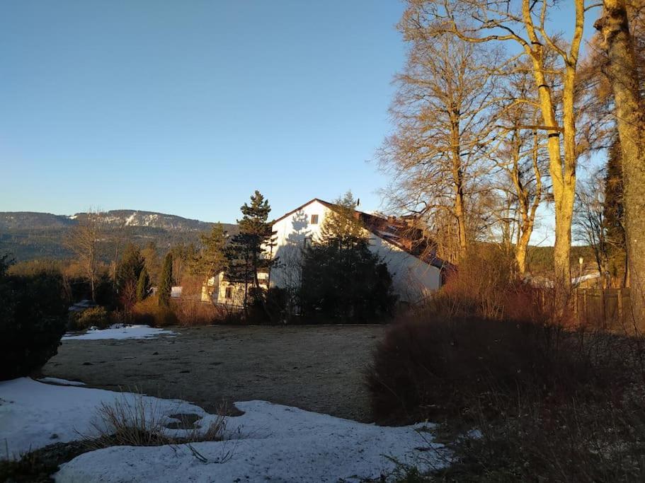 Appartamento Apratman Julie - Bavorska Ruda Bayerisch Eisenstein Esterno foto