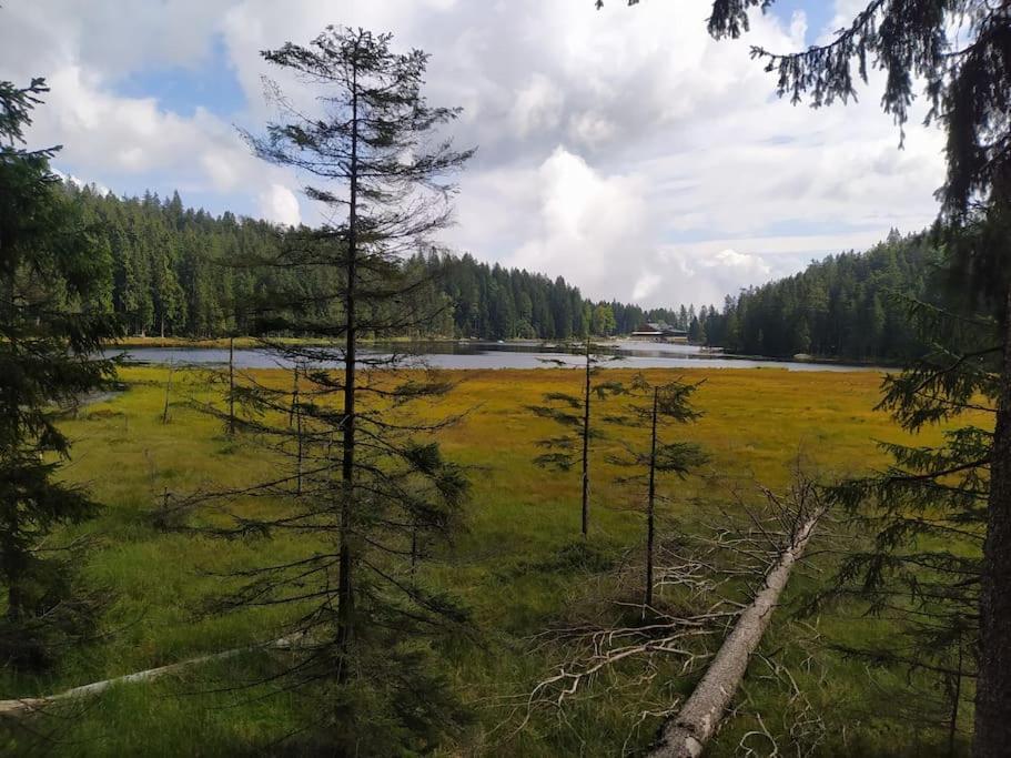 Appartamento Apratman Julie - Bavorska Ruda Bayerisch Eisenstein Esterno foto