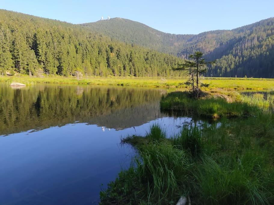 Appartamento Apratman Julie - Bavorska Ruda Bayerisch Eisenstein Esterno foto