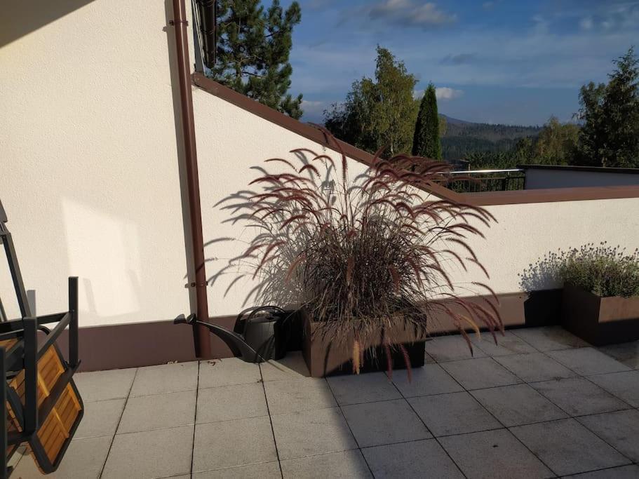 Appartamento Apratman Julie - Bavorska Ruda Bayerisch Eisenstein Esterno foto